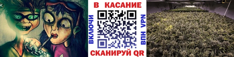 Какие есть наркотики Петушки COCAIN  Каннабис  Мефедрон  Гашиш 