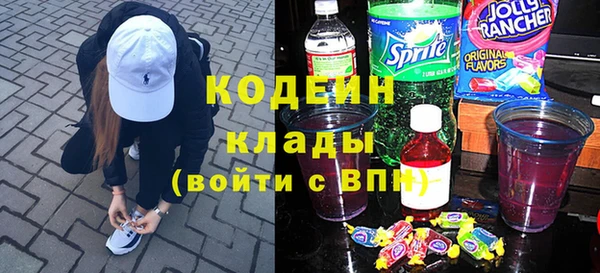 прущие грибы Осинники