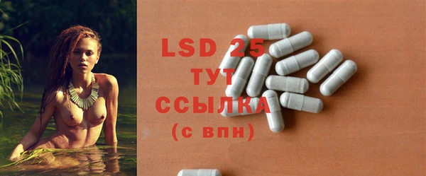 индика Болотное