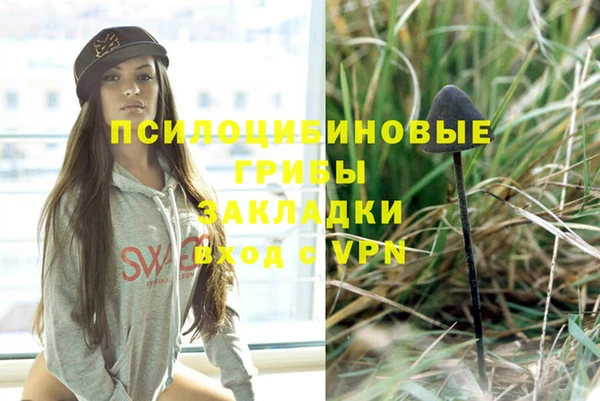 спайс Няндома