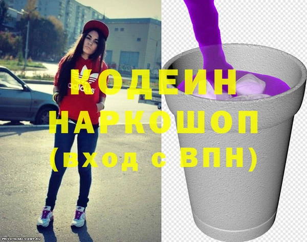 спайс Няндома