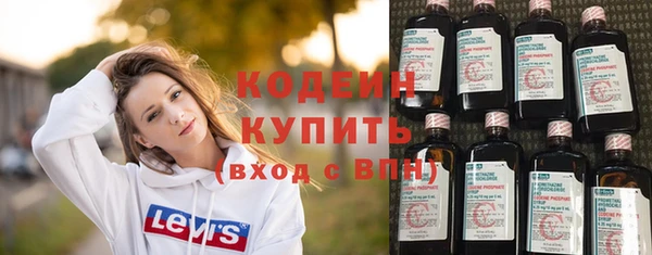 спайс Няндома